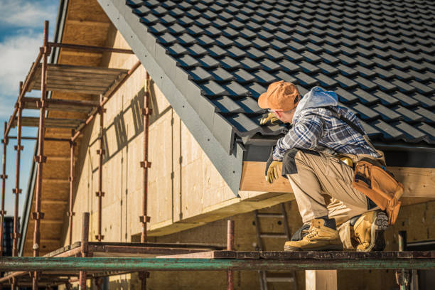 Best Roof Gutter Cleaning  in Taylor, TX